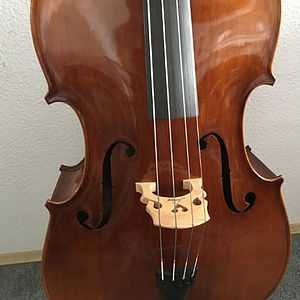 Kontrabass in Violinenform 2