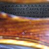 Violine Meisterkopie von Jofredus Cappa 1891 1
