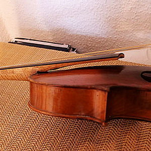Violine 3